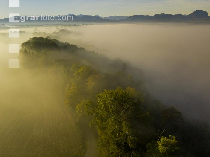 Almtal Morgenstimmung 8