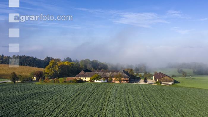 Herbstliches Alpenvorland 6