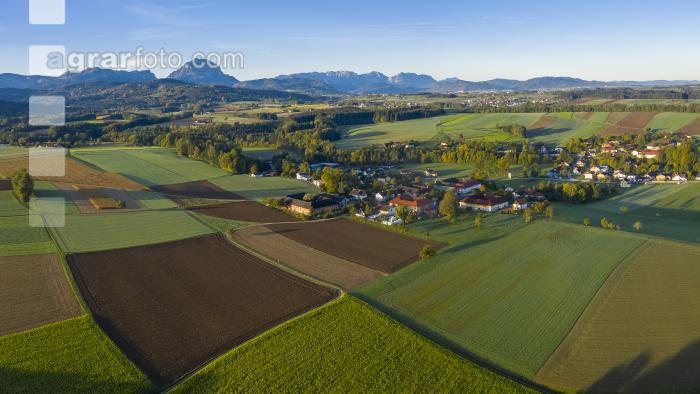 Almtal Morgenstimmung 5