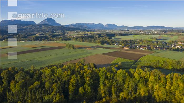 Almtal Morgenstimmung 4