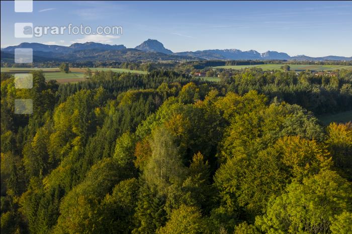 Almtal Morgenstimmung 3