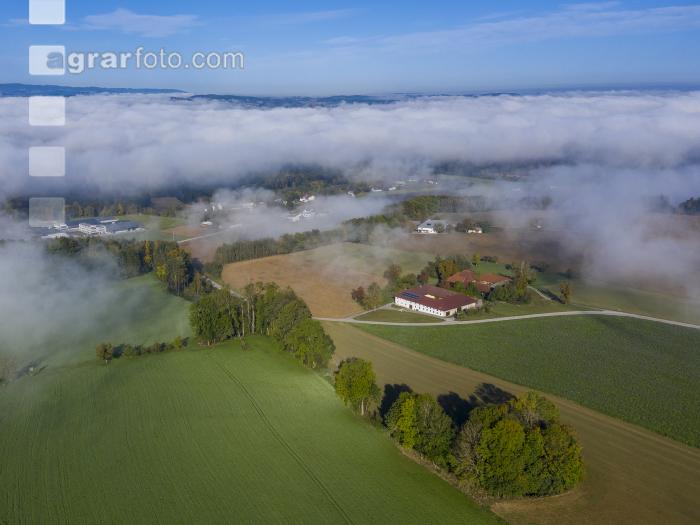 Herbstliches Alpenvorland 3