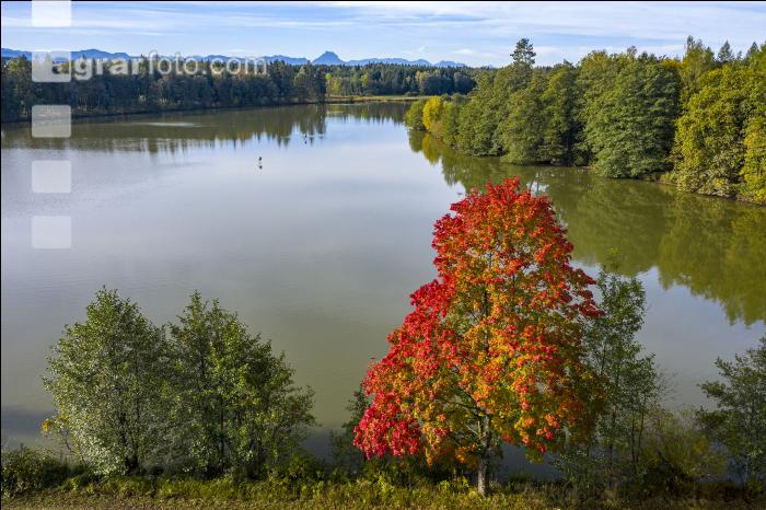 Karpfenteich 2