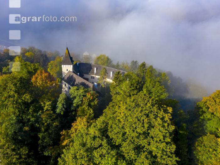 Nebel