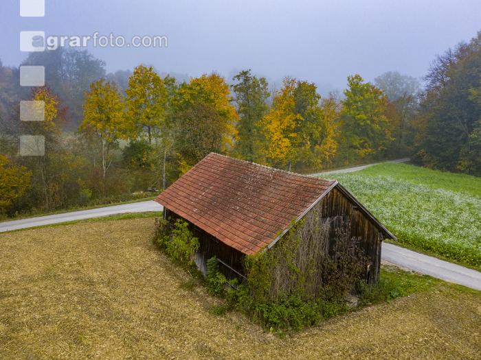 Herbstlandschaft 10