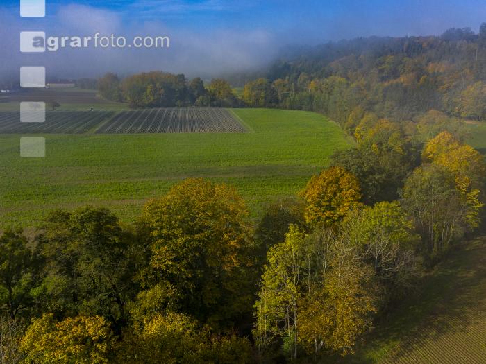 Herbstlandschaft 12