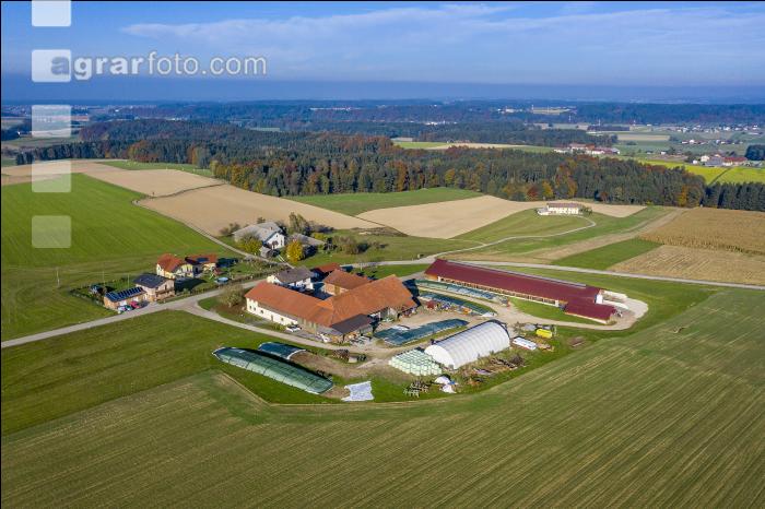 Bauernhof und Stiermaststall