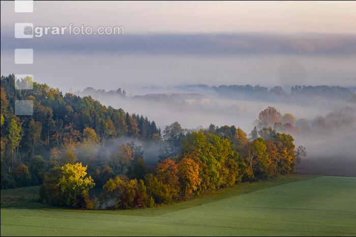 Herbstlandschaft 1