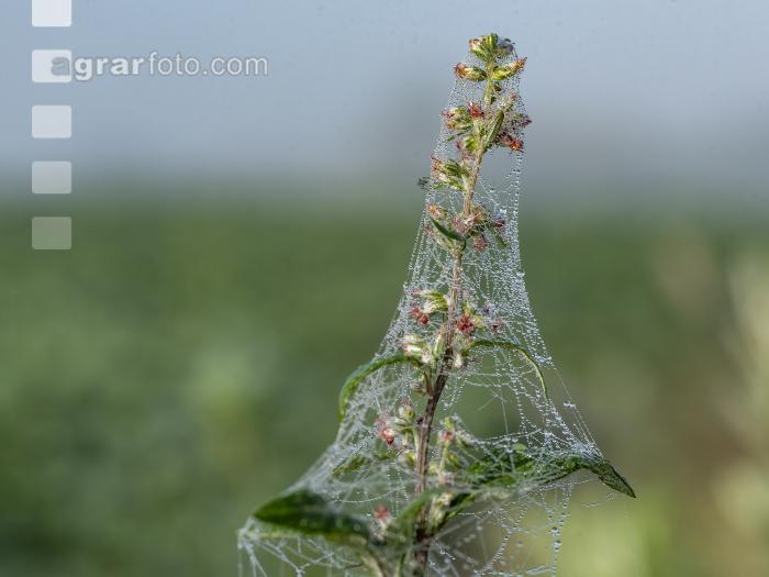 Herbstliche Impressionen 8