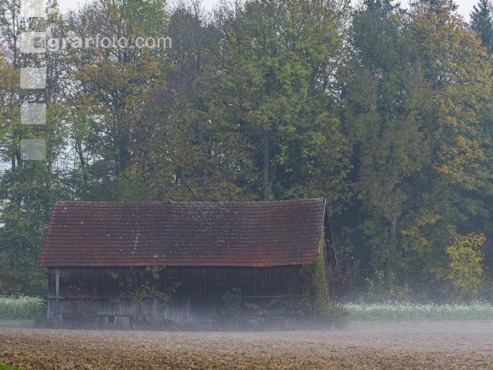 Herbstliche Impressionen 7