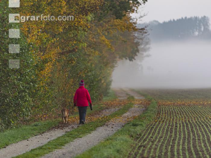 Herbstspaziergang 2