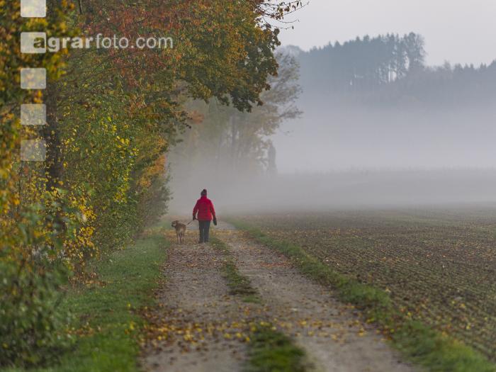 Herbstspaziergang 1