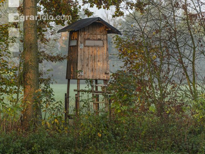 Hochstand 20