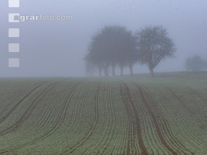Herbstliche Impressionen 5