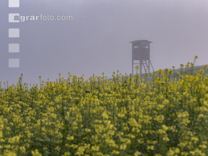 Herbstliche Impressionen 4