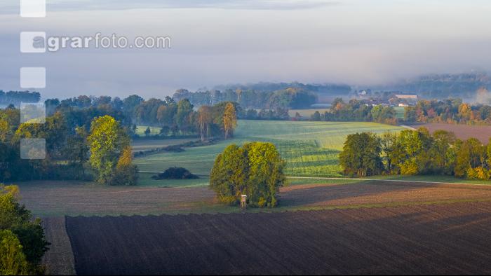 Herbstlandschaft 4
