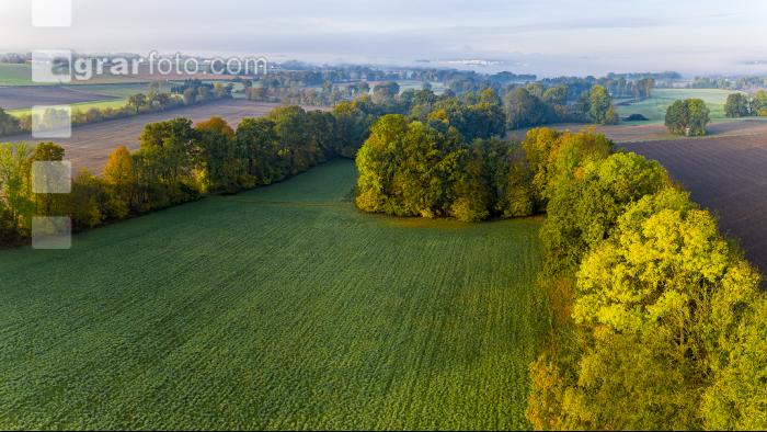 Herbstlandschaft 6
