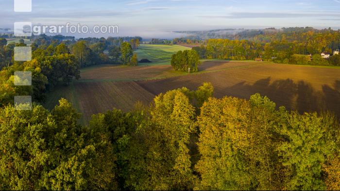 Herbstlandschaft 7