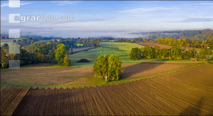 Herbstlandschaft 9