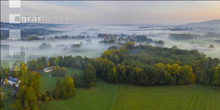 Herbstlandschaft 14
