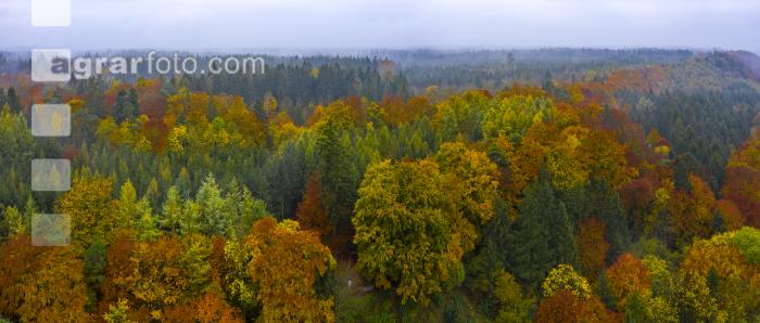 Herbstliche Impressionen 2