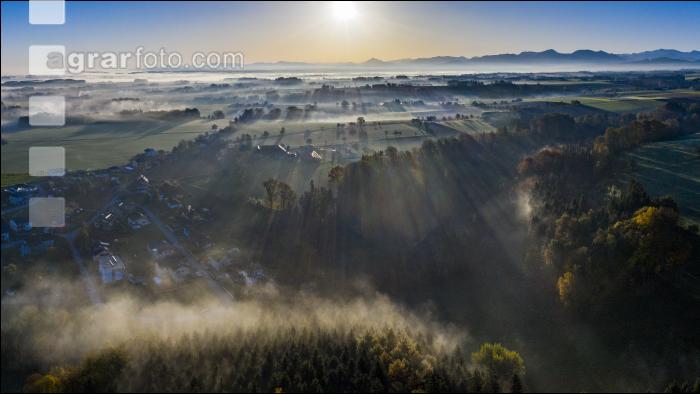 Herbstliche Impressionen 5
