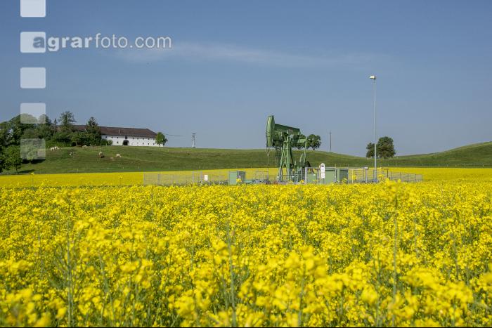Ölraps und Ölpumpanlage 2