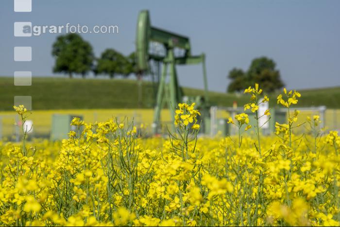 Ölraps und Ölpumpanlage 1