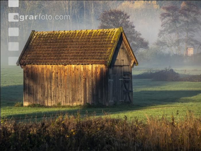 Alte Hütte im Morgenlicht 3