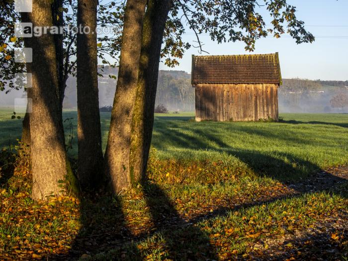 Alte Hütte im Morgenlicht 1