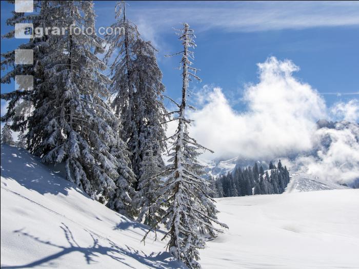 Winter im Gebirge 9