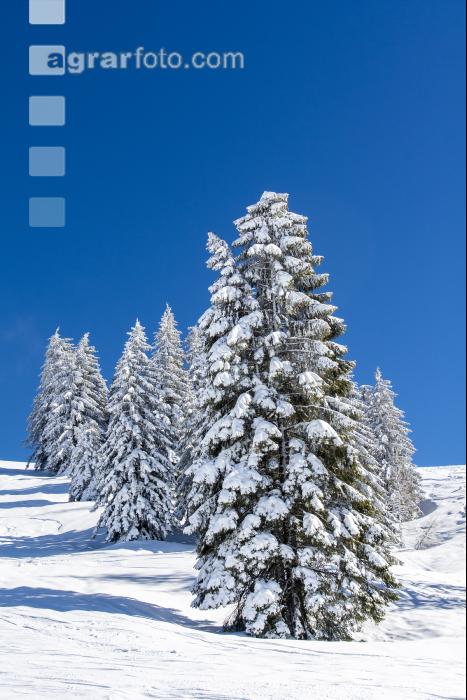 Winter im Gebirge 7