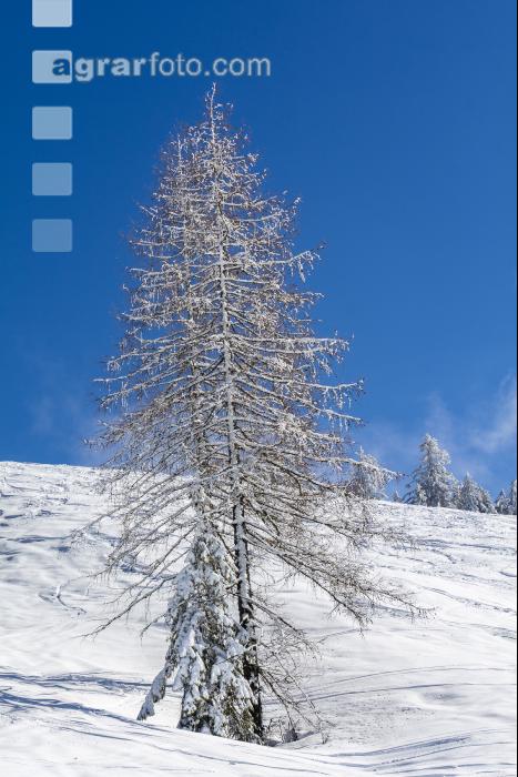 Winter im Gebirge 6