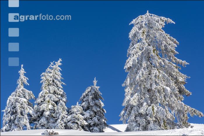 Winter im Gebirge 4