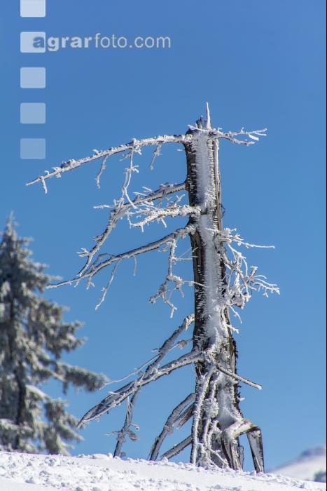 Winter im Gebirge 3