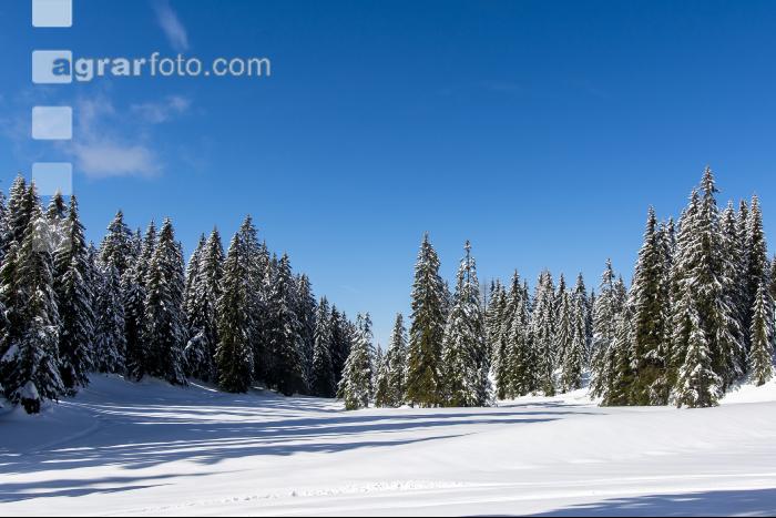 Winter im Gebirge 1