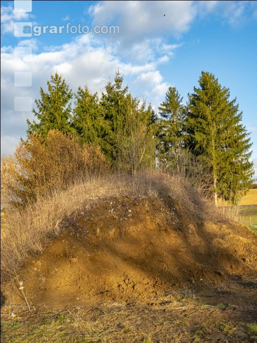 Erdhaufen