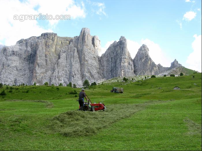 Bergbauern Südtirol 2