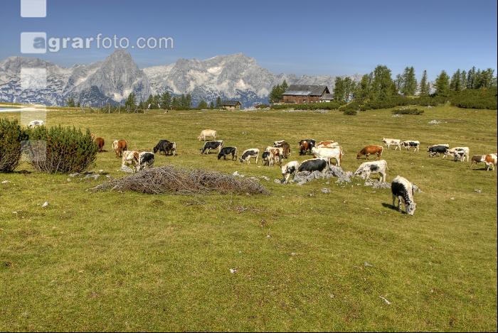 Pustertal Sprinzen 4