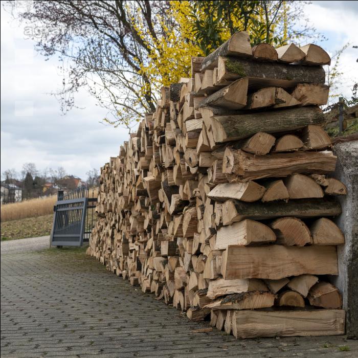 Brennholz 25