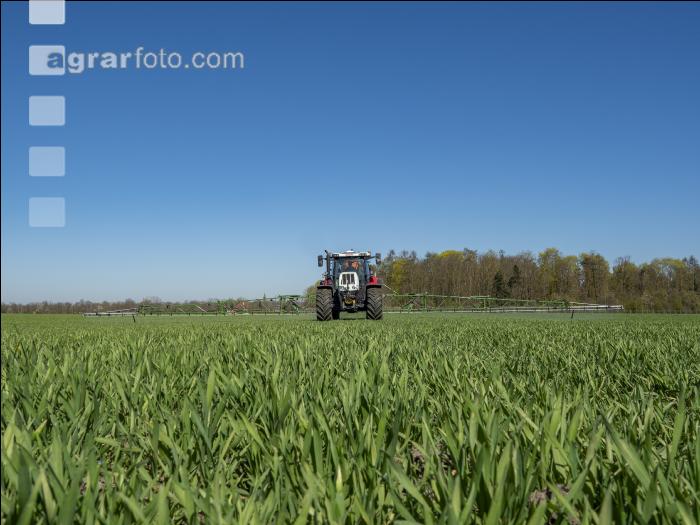 Weizen Herbizid 85