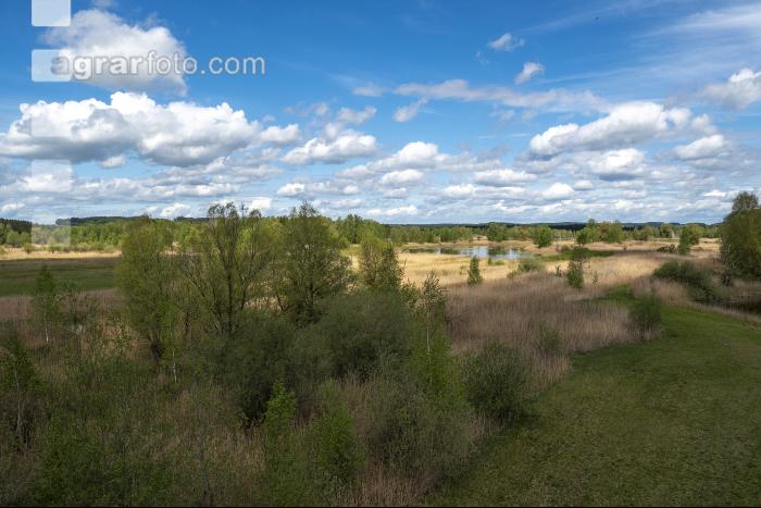 Im Hochmoor 16