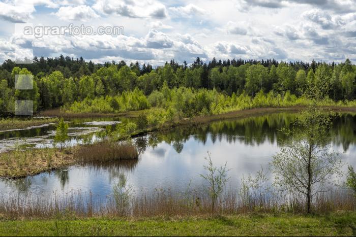 Im Hochmoor 15