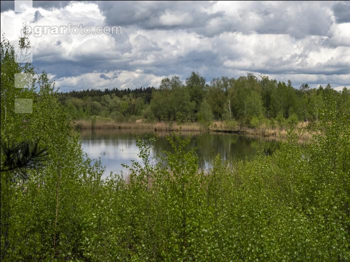 Im Hochmoor 1
