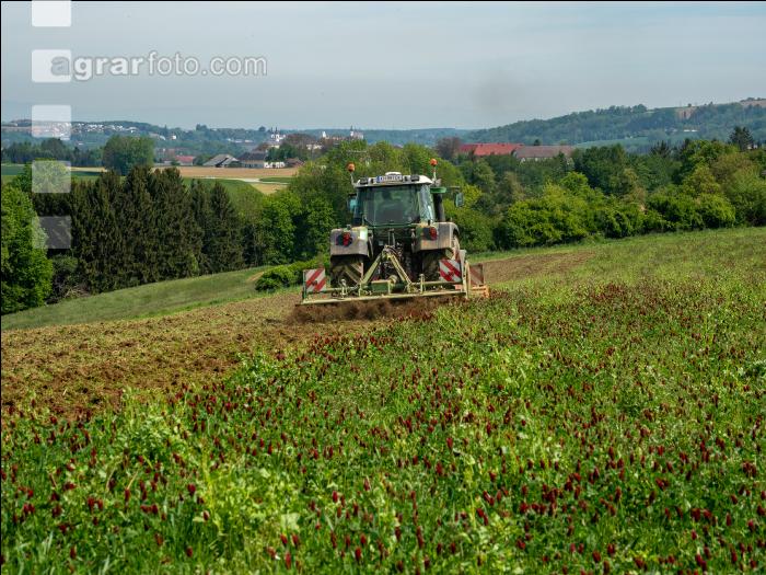 Zwischenfrucht fräsen 11
