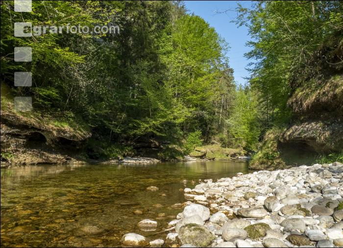 Fluss 2
