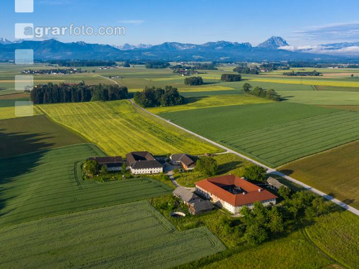 Vierkanthof in OÖ 5