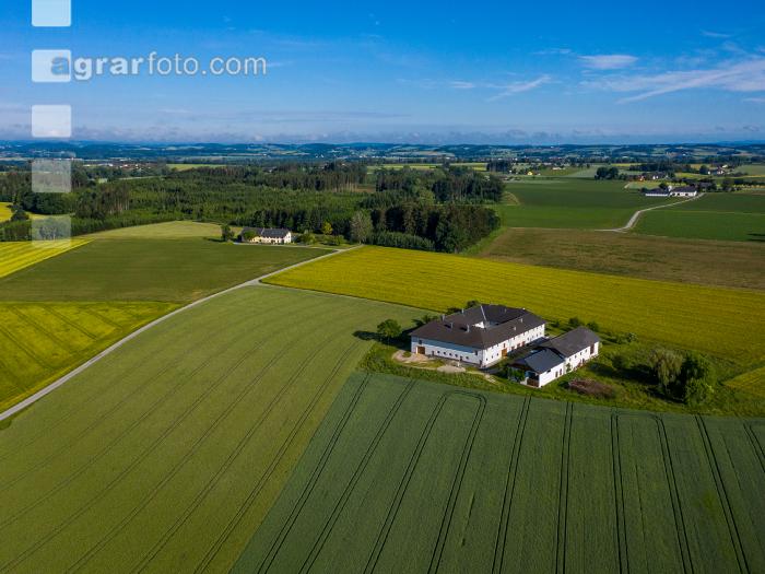 Vierkanthof in OÖ 2