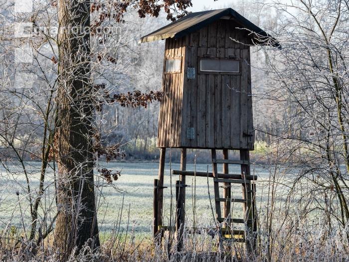 Hochstand 21