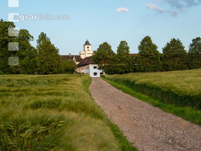 Zufahrt Gutshof